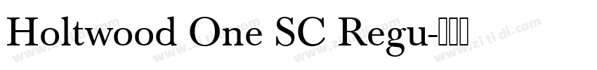Holtwood One SC Regu字体转换